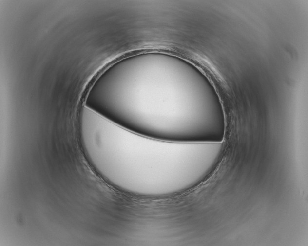 X0000113071268200908281002