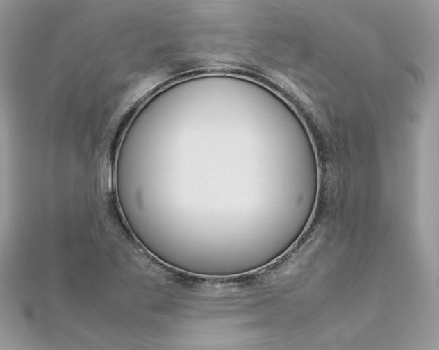 X0000113071269200908281002