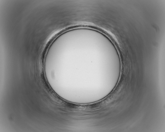 X0000113071271200908281002