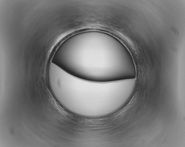 X0000113071272200908281002