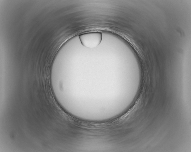 X0000113071273200908281002