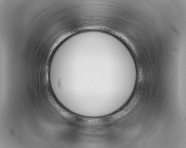 X0000113071274200908281002