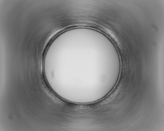 X0000113071275200908281002