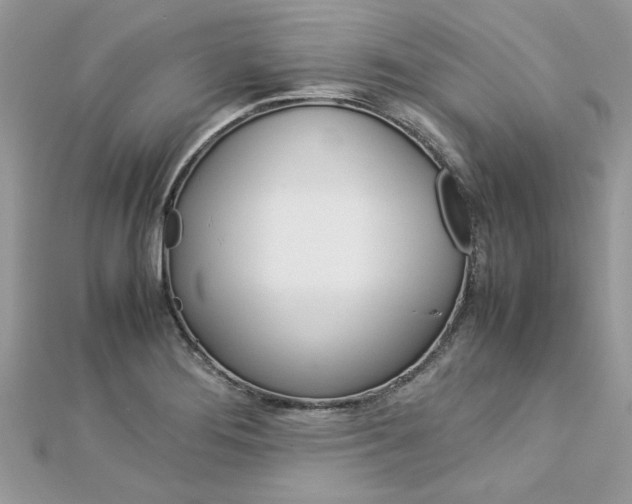 X0000113071276200908281002