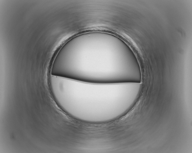 X0000113071277200908281002