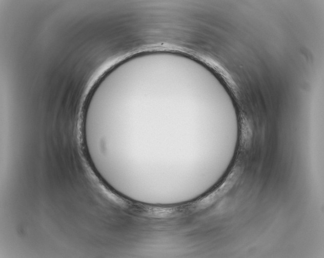 X0000113071278200908281002