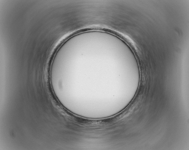 X0000113071279200908281002