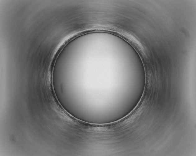 X0000113071280200908281002