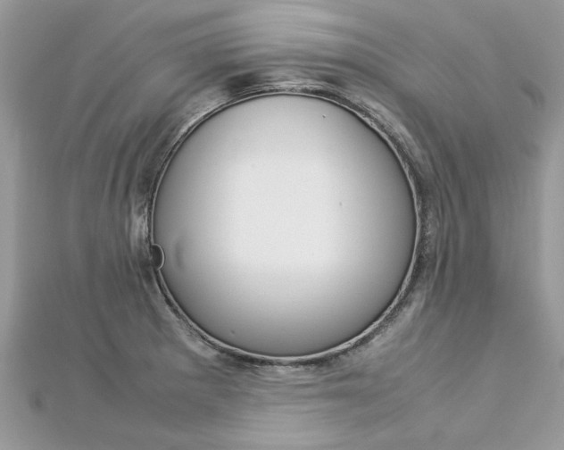 X0000113071281200908281002