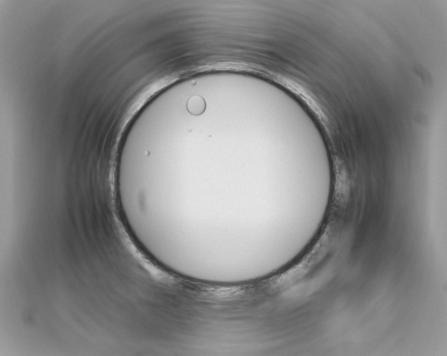X0000113071282200908281002