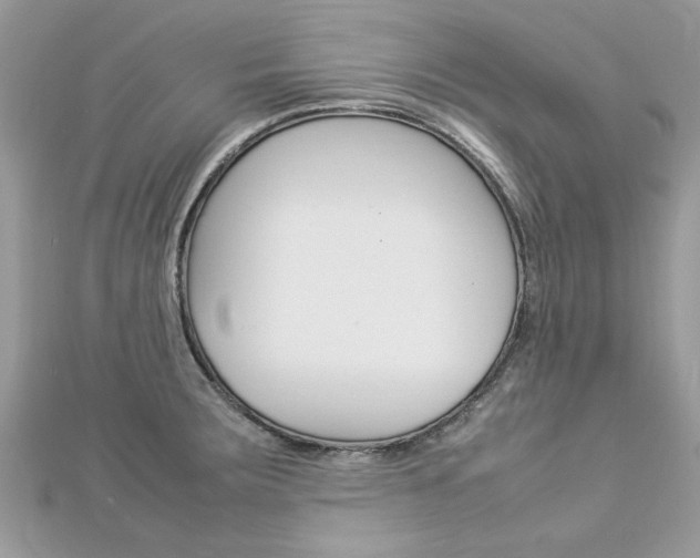 X0000113071283200908281002