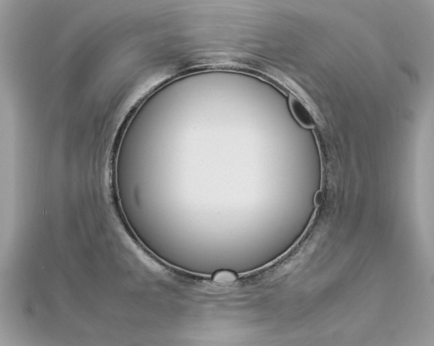 X0000113071285200908281002