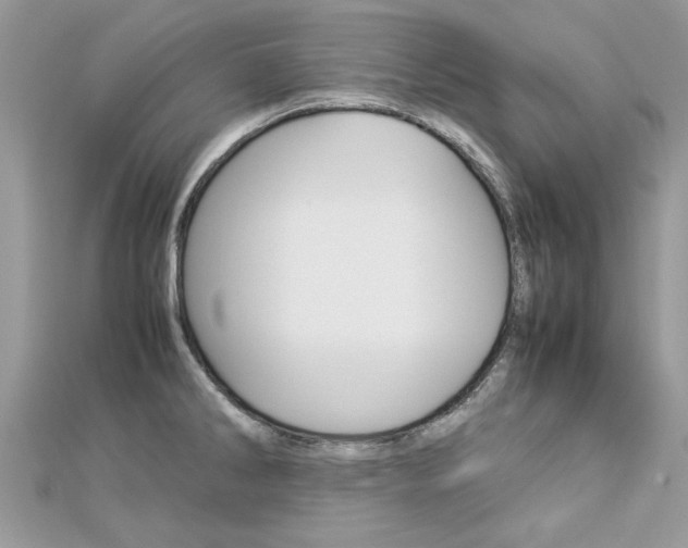 X0000113071286200908281002
