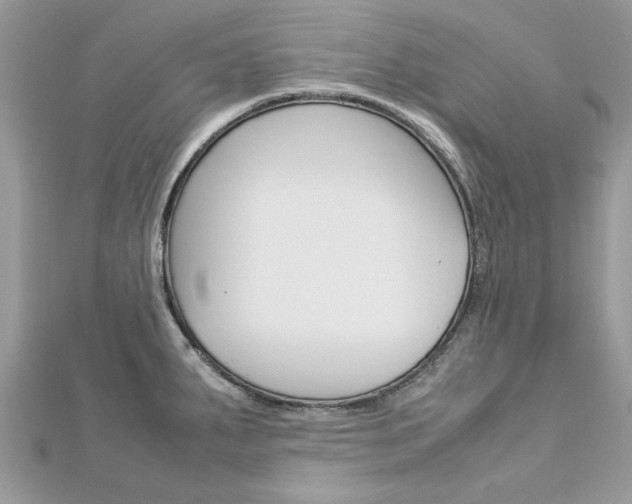 X0000113071287200908281002