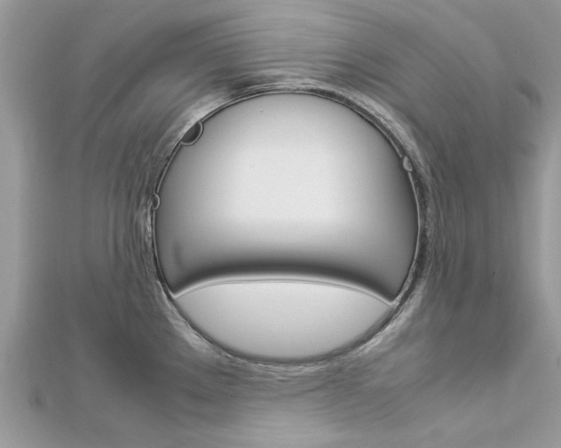 X0000113071289200908281001
