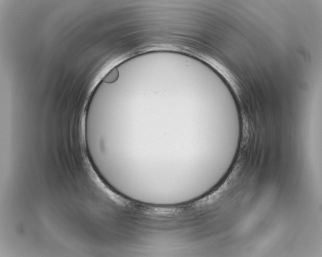 X0000113071290200908281001