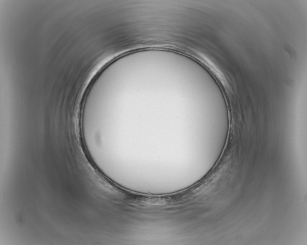 X0000113071291200908281001