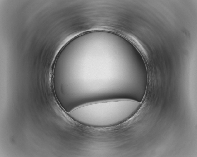 X0000113071292200908281001