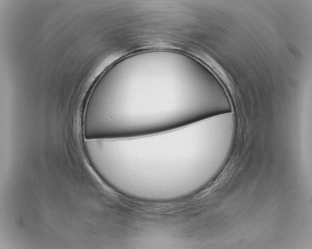 X0000113071293200908281001