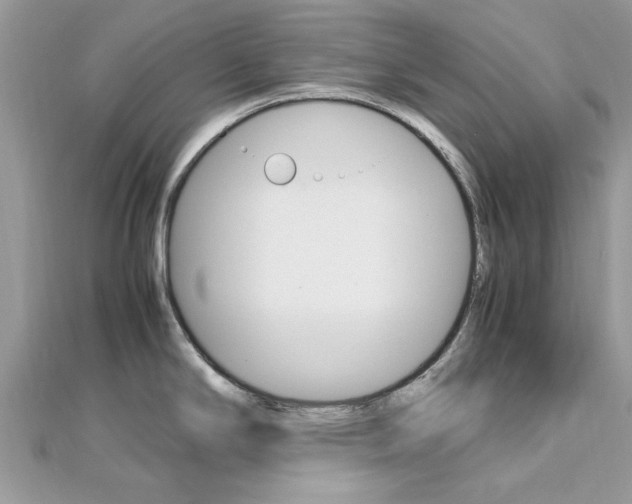 X0000113071294200908281001
