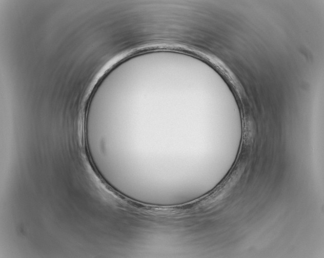 X0000113071295200908281001