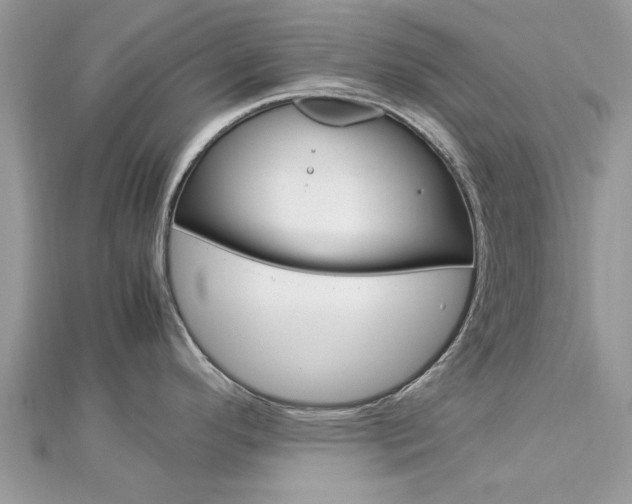 X0000113071296200908281001