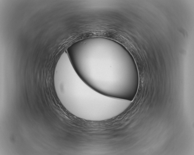 X0000113071298200908281001
