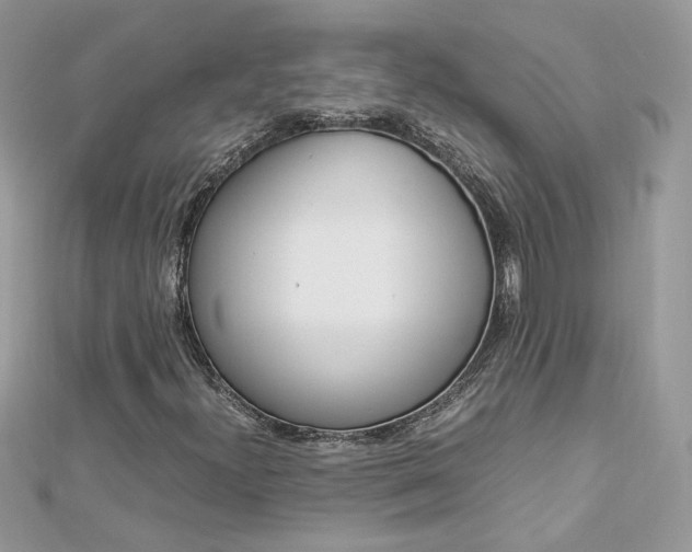 X0000113071300200908281001