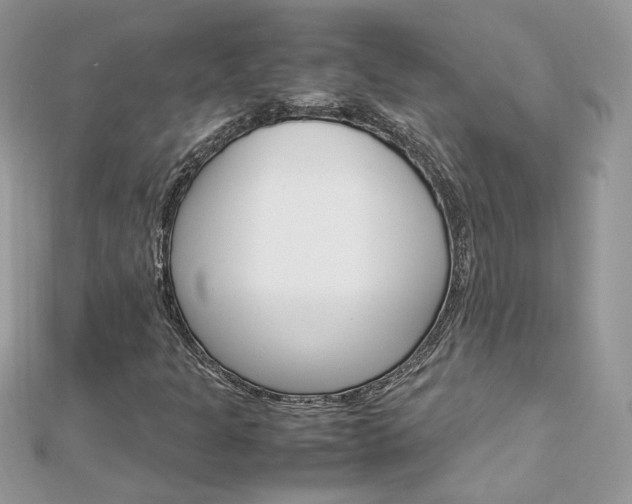 X0000113071301200908281001