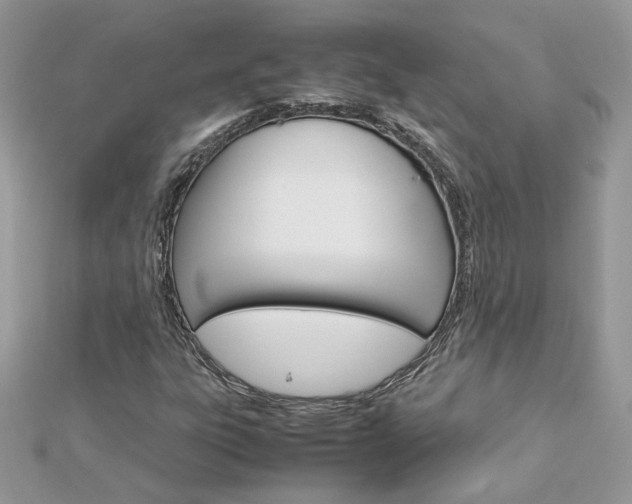 X0000113071303200908281001