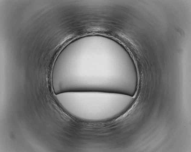 X0000113071305200908281001
