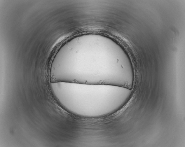 X0000113071306200908281001