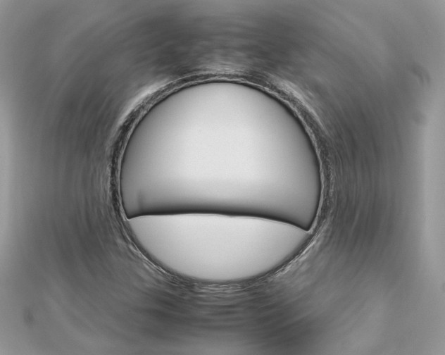 X0000113071307200908281001