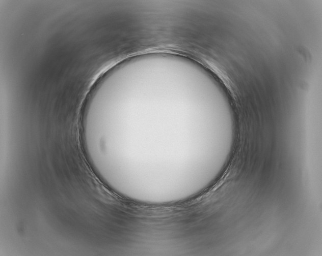 X0000113071308200908281001