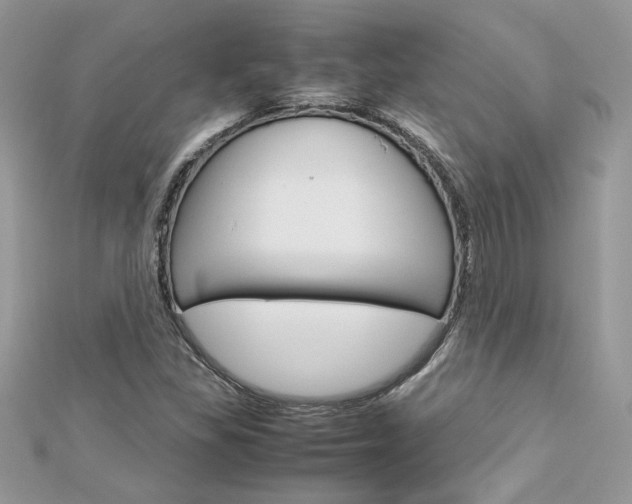 X0000113071309200908281001