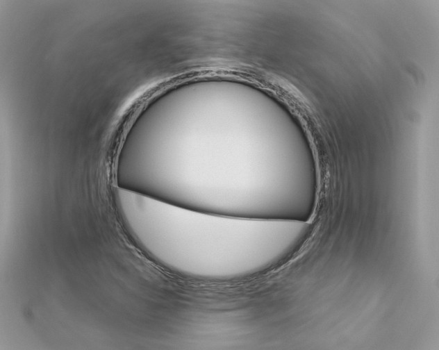 X0000113071310200908281001