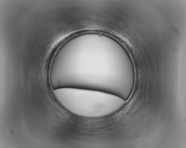 X0000113071311200908281001