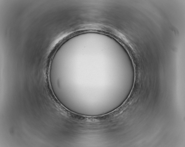 X0000113071312200908281001