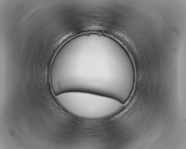 X0000113071313200908281001