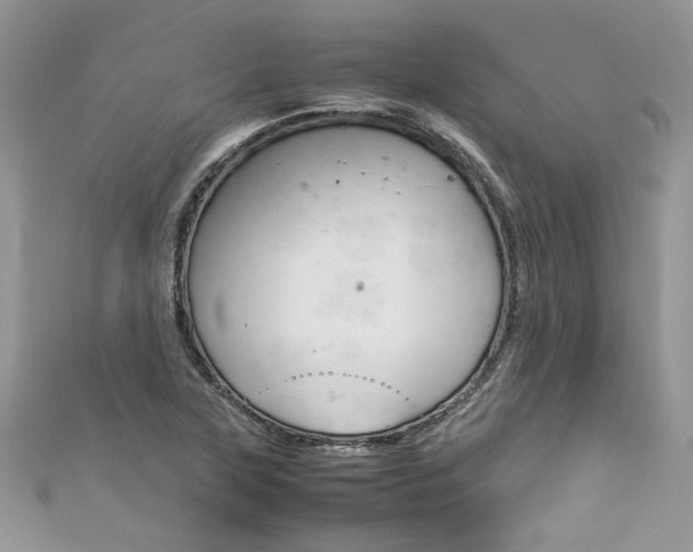 X0000113071315200908281001