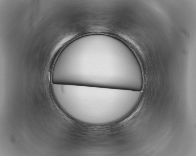 X0000113071317200908281001