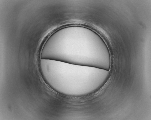 X0000113071318200908281001
