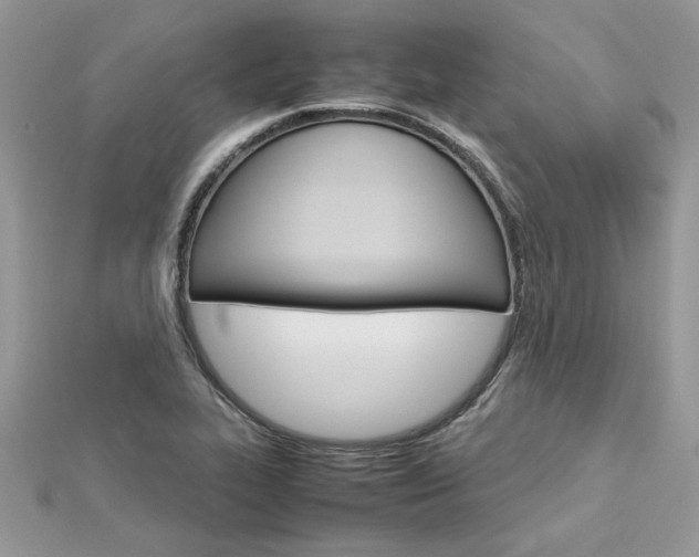 X0000113071319200908281001