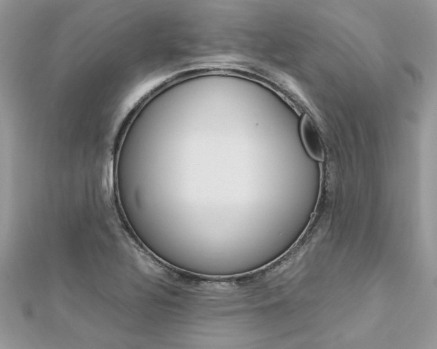 X0000113071320200908281001