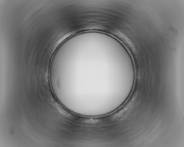 X0000113071321200908281001