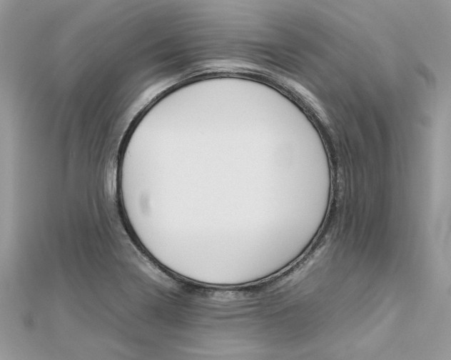 X0000113071322200908281001
