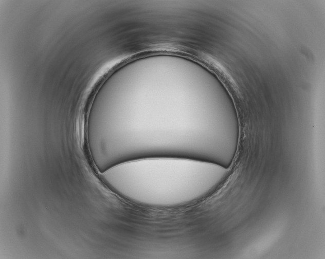 X0000113071323200908281001