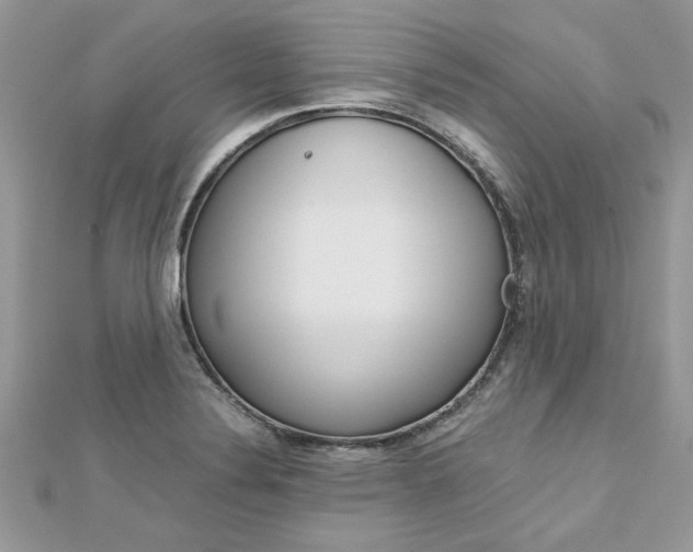 X0000113071324200908281001
