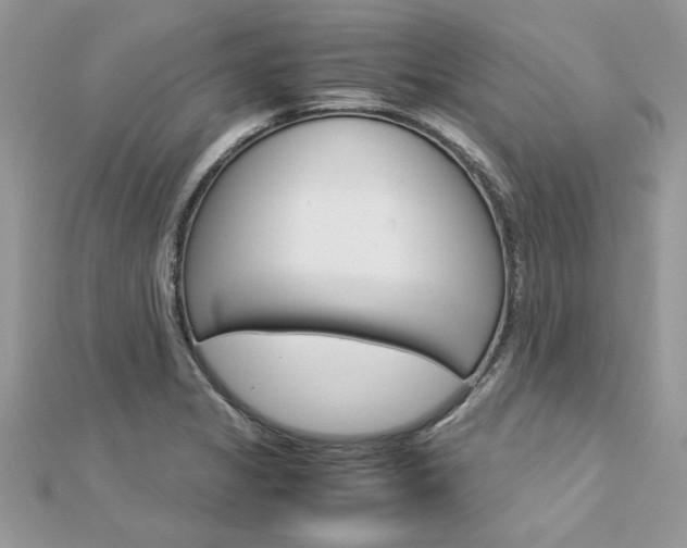 X0000113071325200908281001