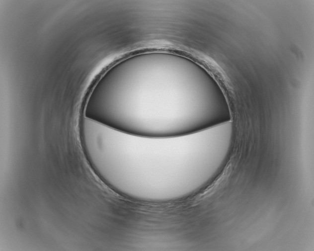 X0000113071326200908281001